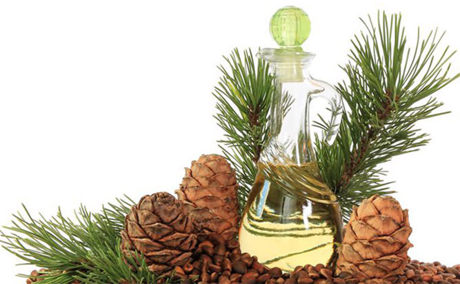 Cedar Oil - Great Solution for Dry and Oily Skin