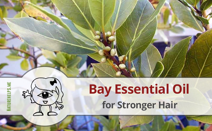 Bay Essential Oil for Stronger Hair. Recipes & Tips