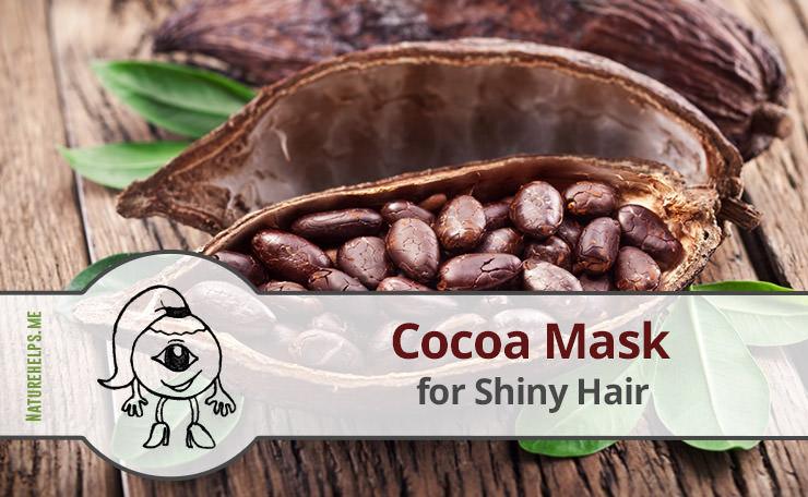 Luxurious Cocoa Mask for Shiny Hair
