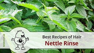 Nettle Uses for Hair. Rinse & Scrub Recipes