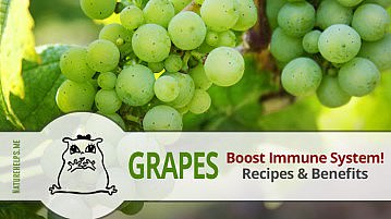 Boost Your Immune System with Grapes. Recipes & Benefits