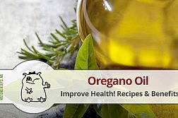 oregano-oil-improve-health-recipes-benefits-diy