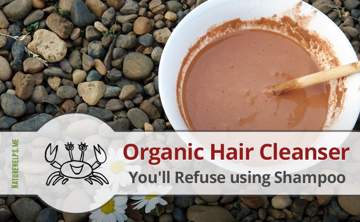 Seaweed Against Hair Loss. DIY Nori Shampoo for Hair Treatment