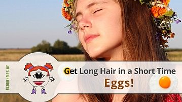DIY Egg Mask. Natural Treatment for Dry & Damaged Hair