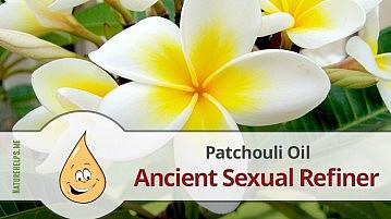 Patchouli Essential Oil. Description, Benefits & Uses