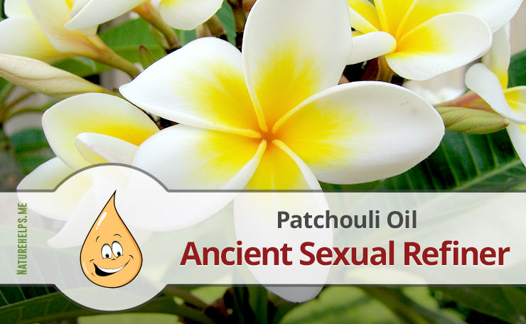Patchouli Essential Oil. Description, Benefits & Uses