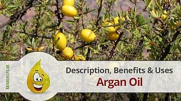 Argan Oil. Description, Benefits & Uses
