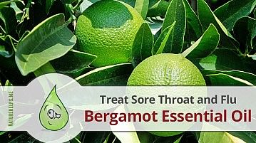 Bergamot Essential Oil. Description, Benefits & Uses