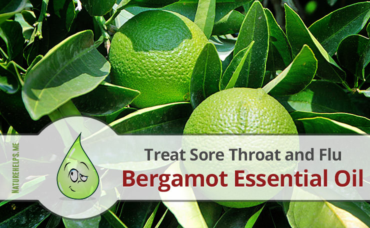 Bergamot Essential Oil. Description, Benefits & Uses