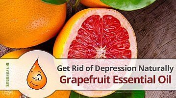 Grapefruit Essential Oil. Description, Benefits & Uses