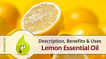 Lemon Essential Oil. Description, Benefits & Uses