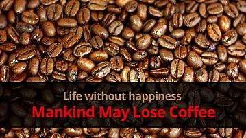 Mankind May Lose Coffee