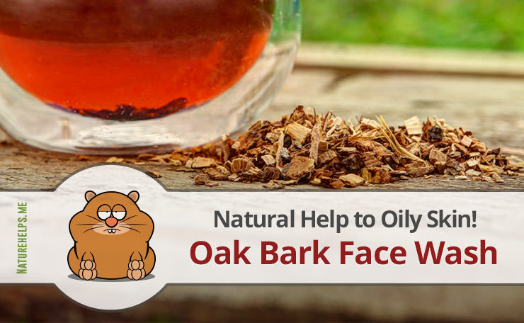Oil Free Face Wash Recipe for Daily Use