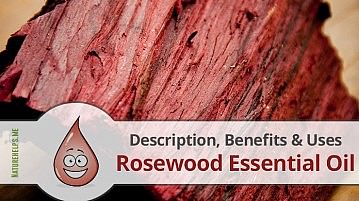 Rosewood Essential Oil. Description, Benefits & Uses