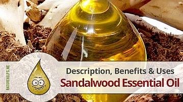 Sandalwood Essential Oil. Description, Benefits & Uses