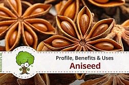 aniseed-profile-benefits-howto-use