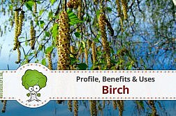 birch-profile-benefits-howto-use
