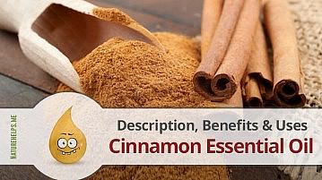 Cinnamon Essential Oil. Description, Benefits & Uses