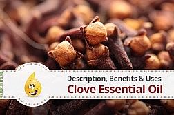 clove-essential-oil-benefits-natural-remedy