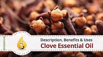 Clove Essential Oil. Description, Benefits & Uses