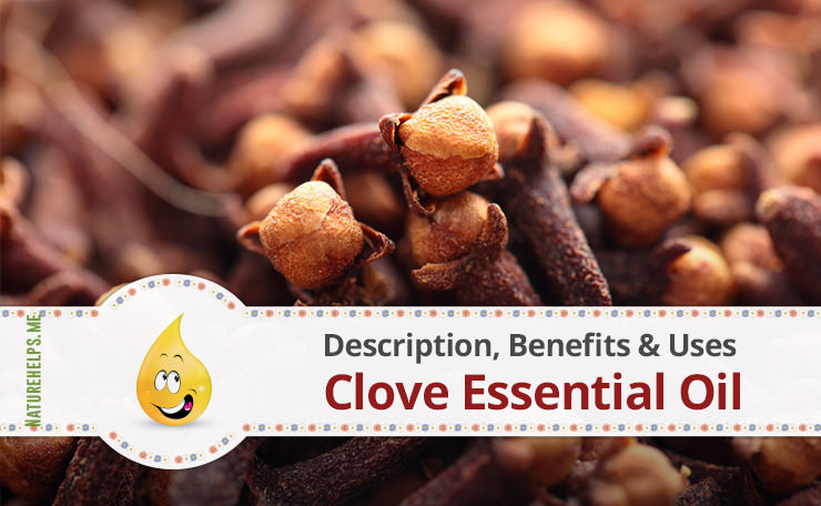 Clove Essential Oil. Description, Benefits & Uses
