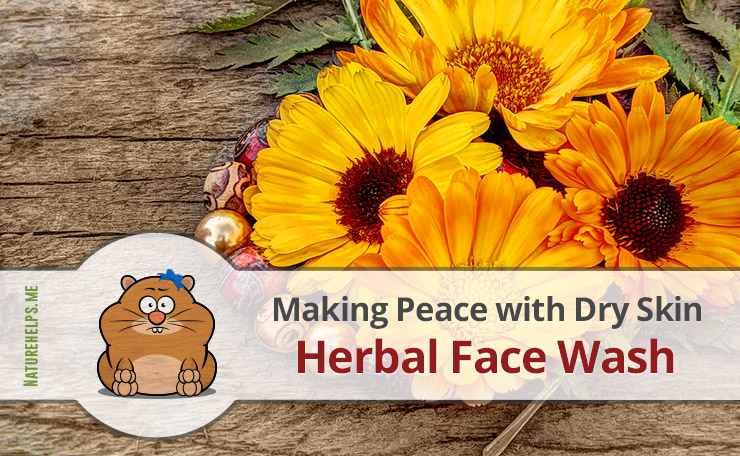 Herbal Face Wash Recipe. Making Peace with Dry Skin