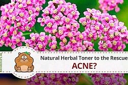 natural-treatment-acne-herbal-toner