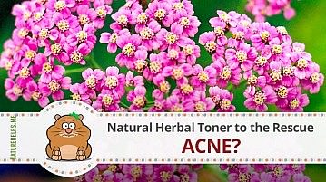 Acne? Natural Herbal Toner to the Rescue