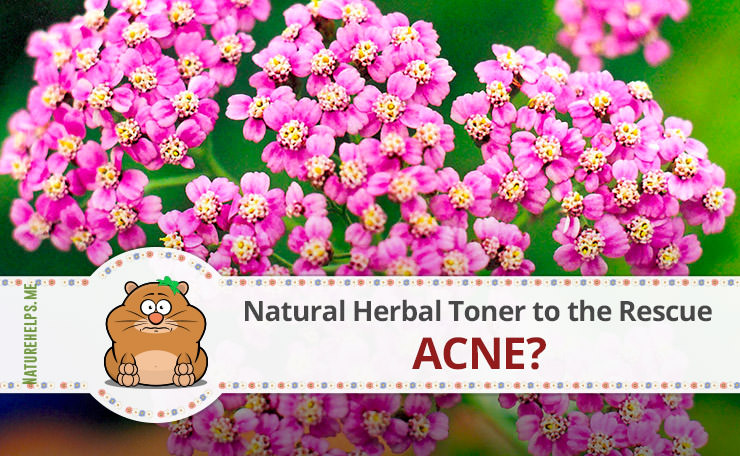 Acne? Natural Herbal Toner to the Rescue