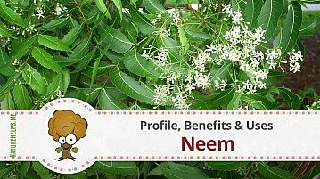 Neem. Profile, Benefits & Uses