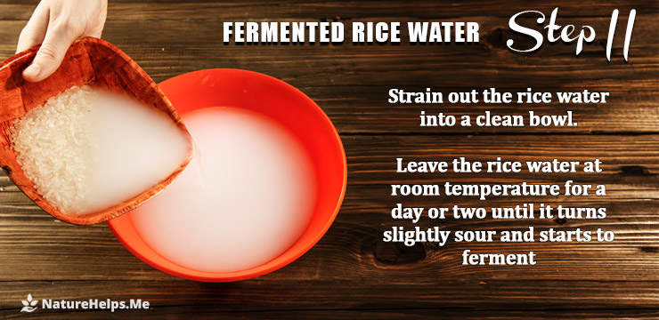 Fermented Rice water. Natural Hair Shampoo with Rice water