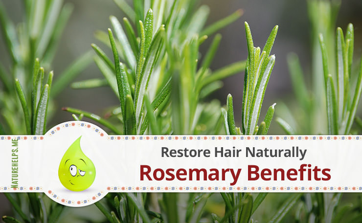 Rosemary Oil Benefits to Restore Hair Naturally