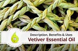 vetiver-essential-oil-benefits-natural-remedy