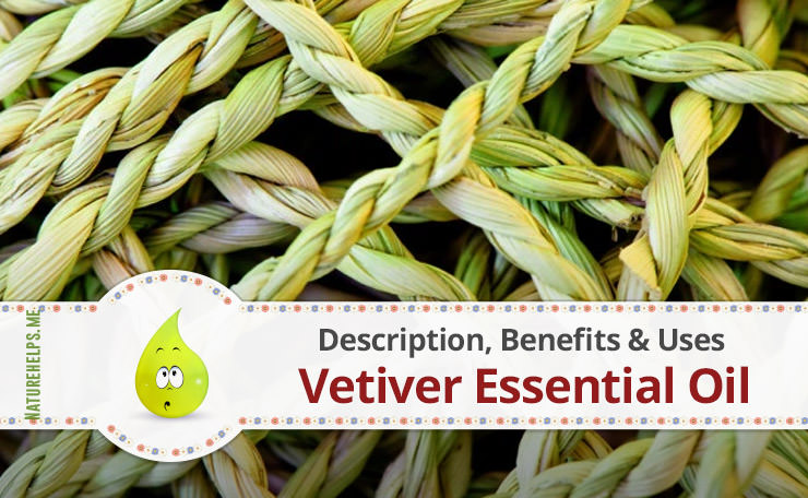Vetiver Essential Oil. Description, Benefits & Uses