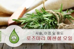 lojeumali-esensyeol-oil-seosul-ijeom-yongdo