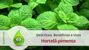 Óleo Essencial de Hortelã-pimenta. Descricao, Beneficios e Usos