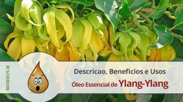 Óleo Essencial de Ylang-Ylang. Descricao, Beneficios e Usos