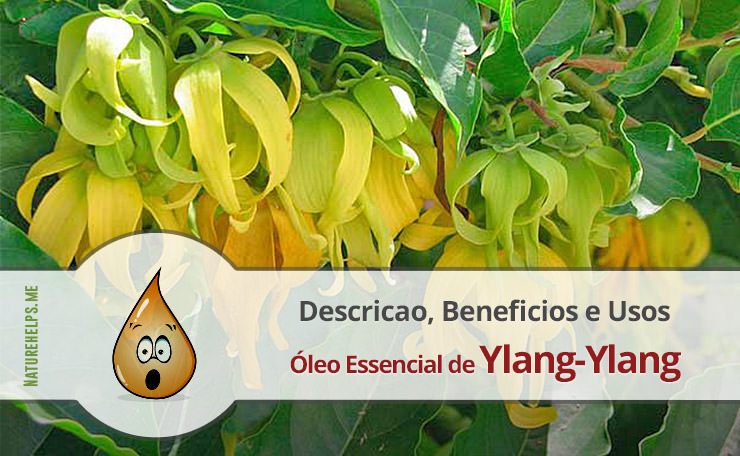 Óleo Essencial de Ylang-Ylang. Descricao, Beneficios e Usos