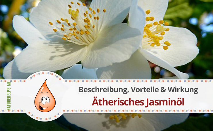 Ätherisches Jasminöl. Beschreibung, Vorteile & Wirkung