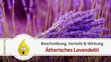 Ätherisches Lavendelöl. Beschreibung, Vorteile & Wirkung
