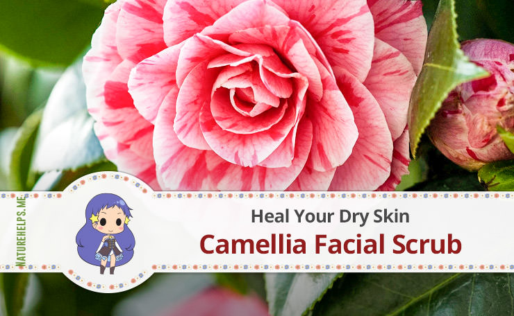 Camellia & Rose Oil Facial Scrub for Dry Skin