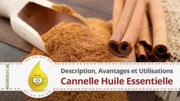 Cannelle Huile Essentielle. Description, Avantages et Utilisations