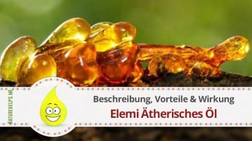 Elemi Ätherisches Öl. Beschreibung, Vorteile & Wirkung