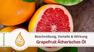 Grapefruit Ätherisches Öl. Beschreibung, Vorteile & Wirkung