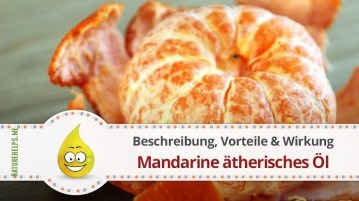 Mandarine ätherisches Öl. Beschreibung, Vorteile & Wirkung