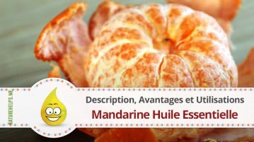 Mandarine Huile Essentielle. Description, Avantages et Utilisations