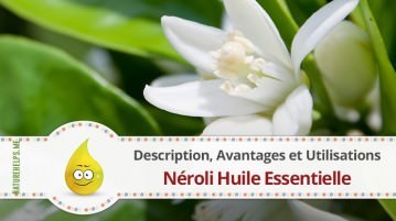Néroli Huile Essentielle. Description, Avantages et Utilisations
