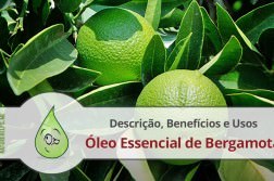 oleo-essencial-bergamota-descricao-beneficios-usos