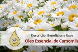 oleo-essencial-camomila-descricao-beneficios-usos