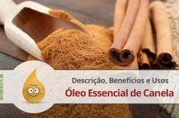 oleo-essencial-canela-descricao-beneficios-usos